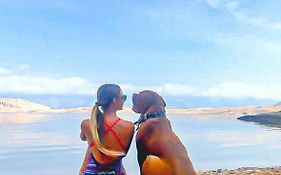 Mila Pet Friendly Holiday House With Private Place On The Beach