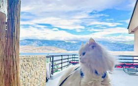 Mila Pet Friendly Holiday House With Private Place On The Beach